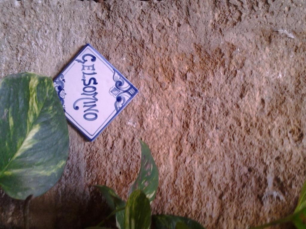 Apartment Il Cortile Fiorito *